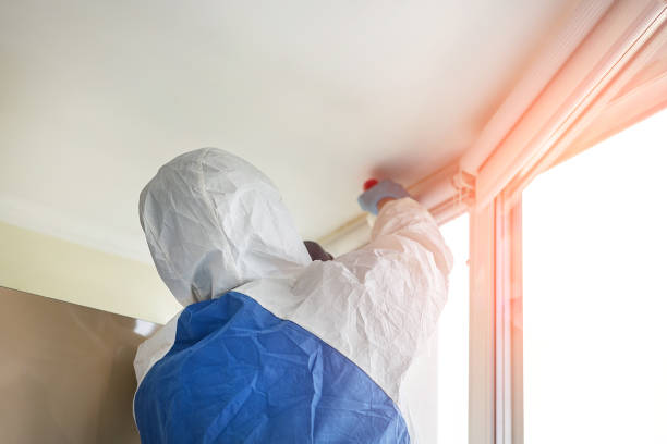  Oak Harbor, OH Mold Removal & Remediation Pros